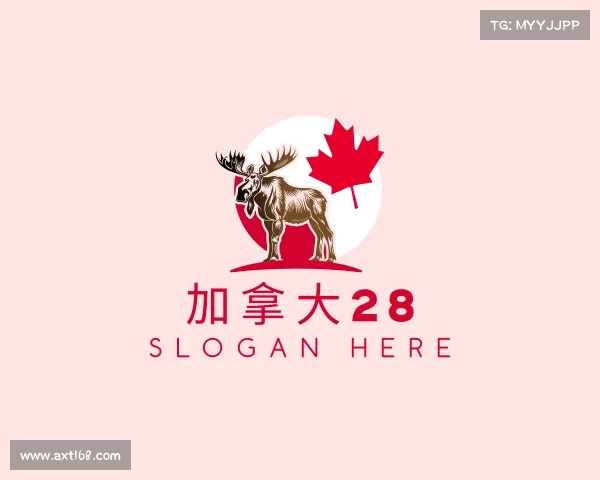 关于加拿大28